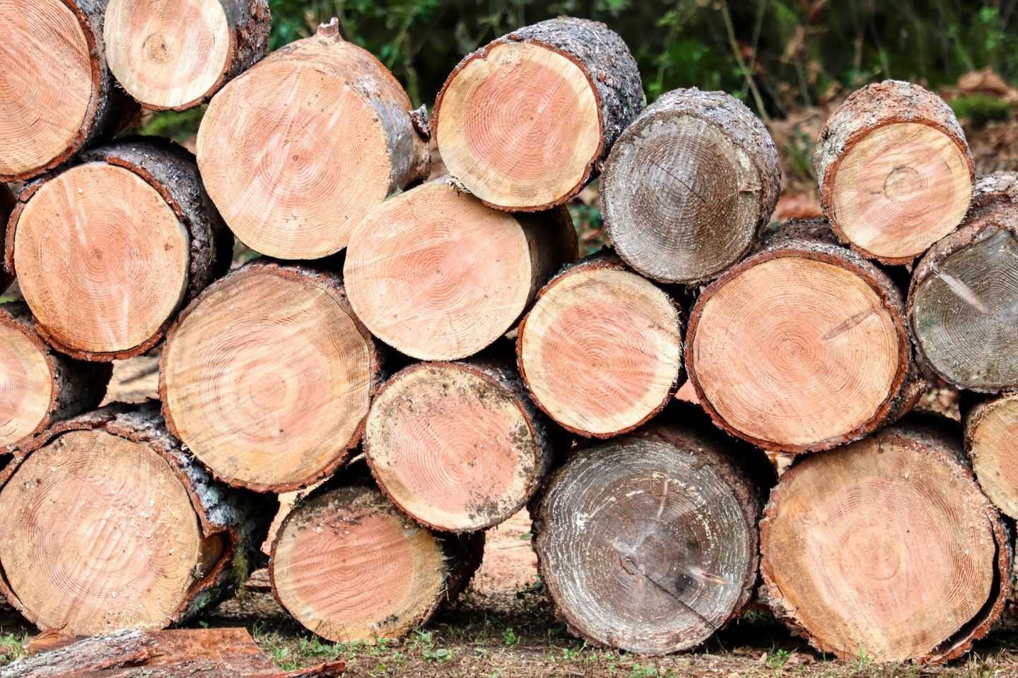 A large stack of round cut logs with the cut side facing out.